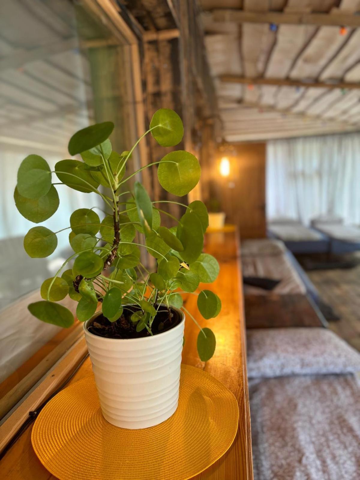 Butterfly House Apartment Pavilosta Ngoại thất bức ảnh